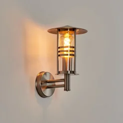 Applique Exterieure Forli Acier Inoxydable, Transparent, 1 Lumiere