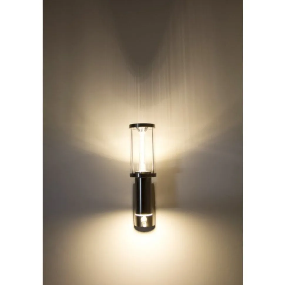 Applique Exterieure Popoyan Led Acier Inoxydable, 2 Lumieres, Detecteur De Mouvement