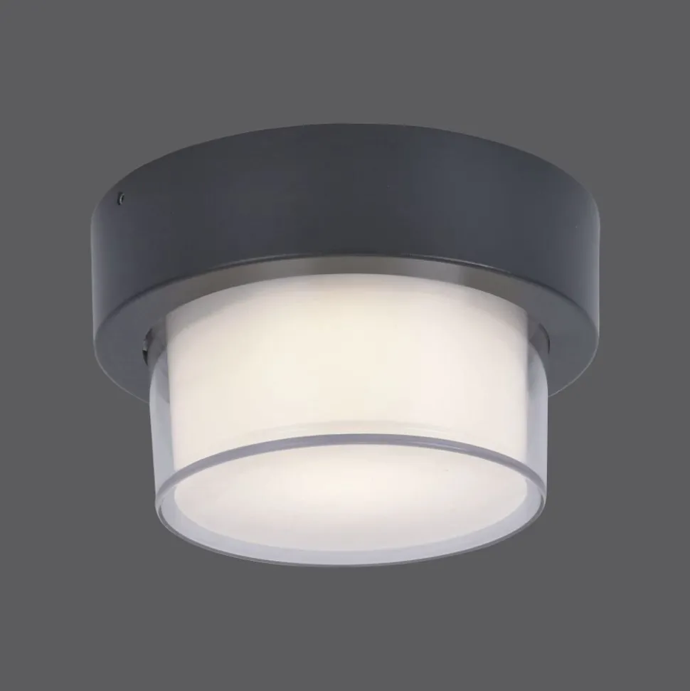 Applique Murale / Plafonnier Paul Neuhaus Q-Erik Led Blanc, 1 Lumiere, Detecteur De Mouvement, Telecommandes, Changeur De Couleurs