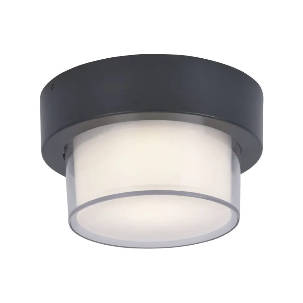 Applique Murale / Plafonnier Paul Neuhaus Q-Erik Led Blanc, 1 Lumiere, Detecteur De Mouvement, Telecommandes, Changeur De Couleurs