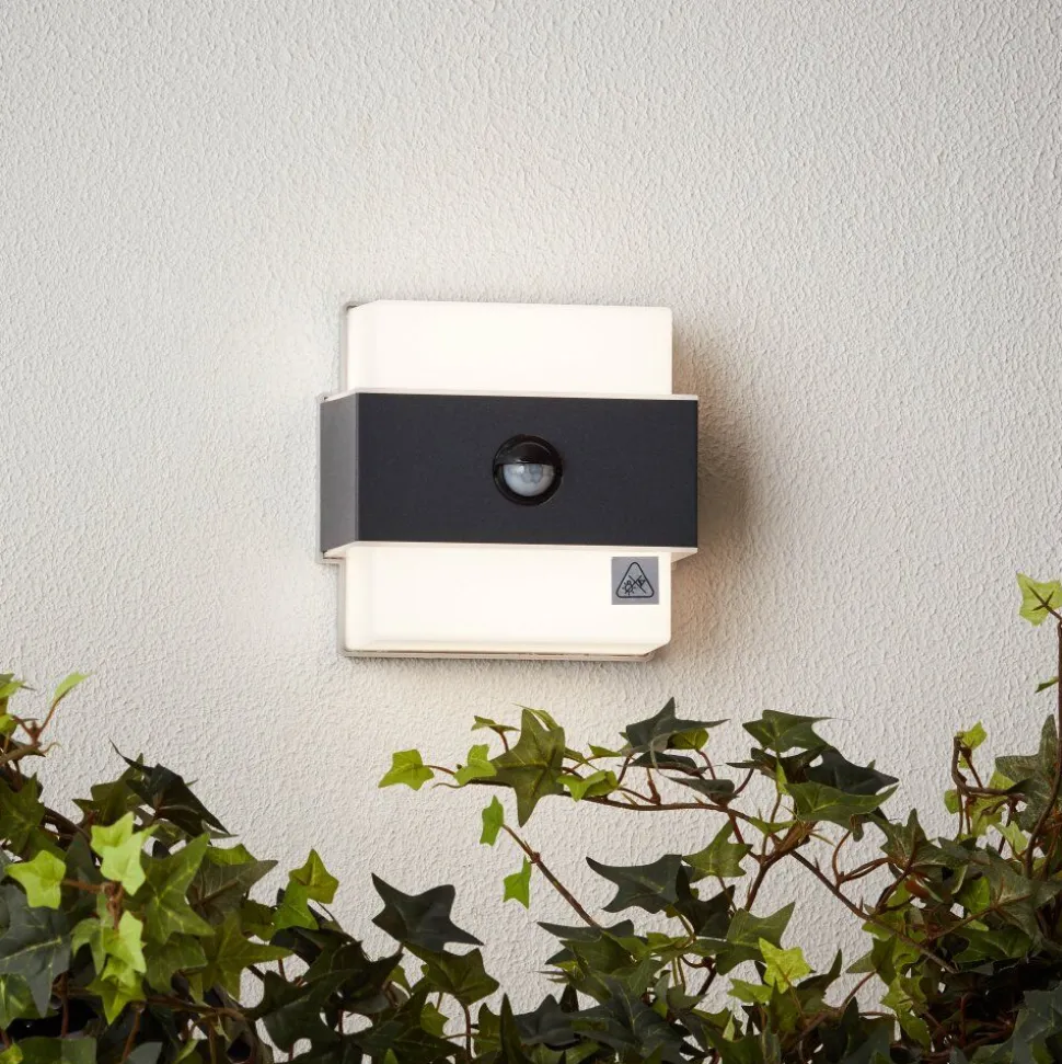 Applique Murale D'Exterieur Brilliant Archie Led Noir, 1 Lumiere, Detecteur De Mouvement