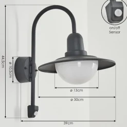 Applique Murale D'Exterieur Pohei Anthracite, 1 Lumiere, Detecteur De Mouvement