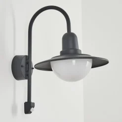 Applique Murale D'Exterieur Pohei Anthracite, 1 Lumiere, Detecteur De Mouvement