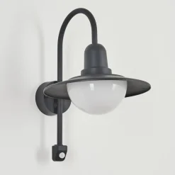 Applique Murale D'Exterieur Pohei Anthracite, 1 Lumiere, Detecteur De Mouvement