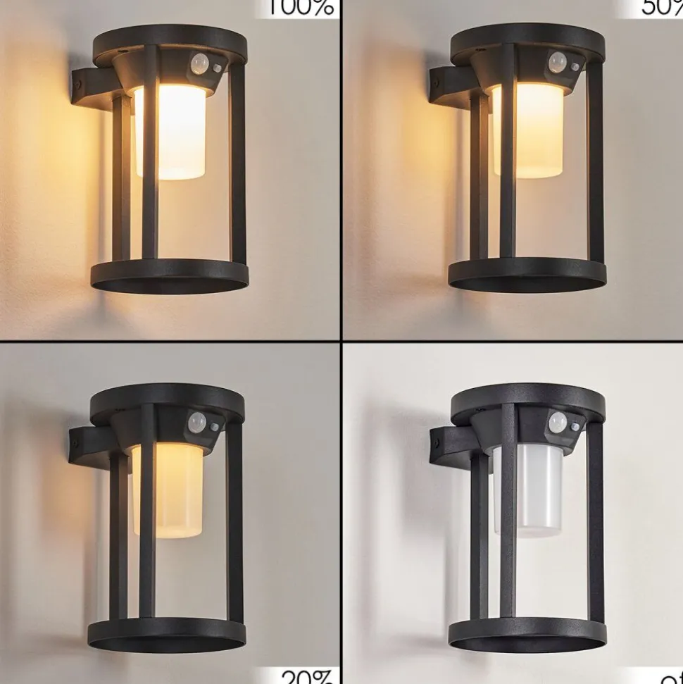 Applique Murale D'Exterieur Lokpano Led Noir, 1 Lumiere, Detecteur De Mouvement, Changeur De Couleurs