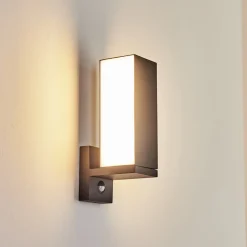 Applique Murale D'Exterieur Swanek Led Anthracite, 1 Lumiere, Detecteur De Mouvement