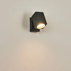 Applique Murale D'Exterieur Skaabu Anthracite, 1 Lumiere