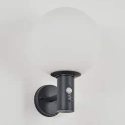 Applique Murale D'Exterieur Bubodefo Anthracite, 1 Lumiere, Detecteur De Mouvement