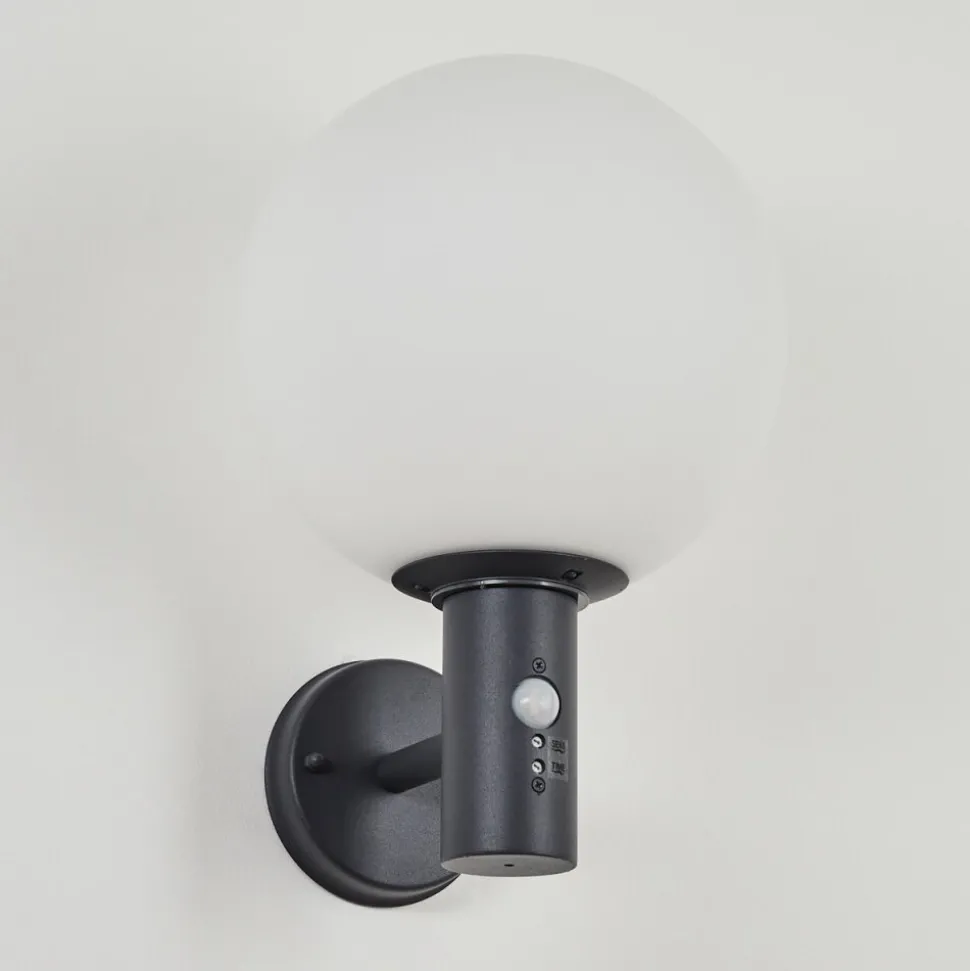 Applique Murale D'Exterieur Bubodefo Anthracite, 1 Lumiere, Detecteur De Mouvement
