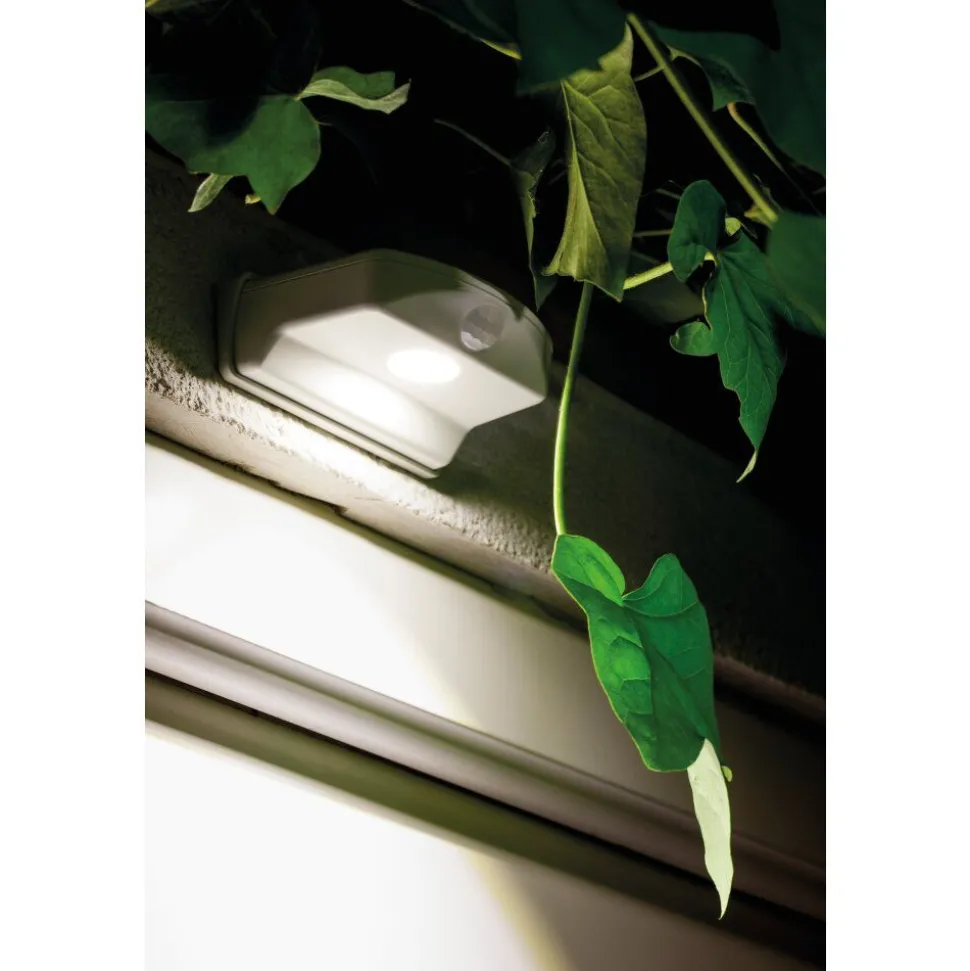 Applique Murale D'Exterieur Ledvance Door Blanc, 1 Lumiere, Detecteur De Mouvement
