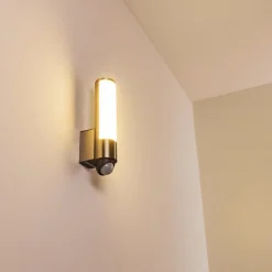 Applique Murale D'Exterieur Vason Led Acier Inoxydable, 1 Lumiere, Detecteur De Mouvement