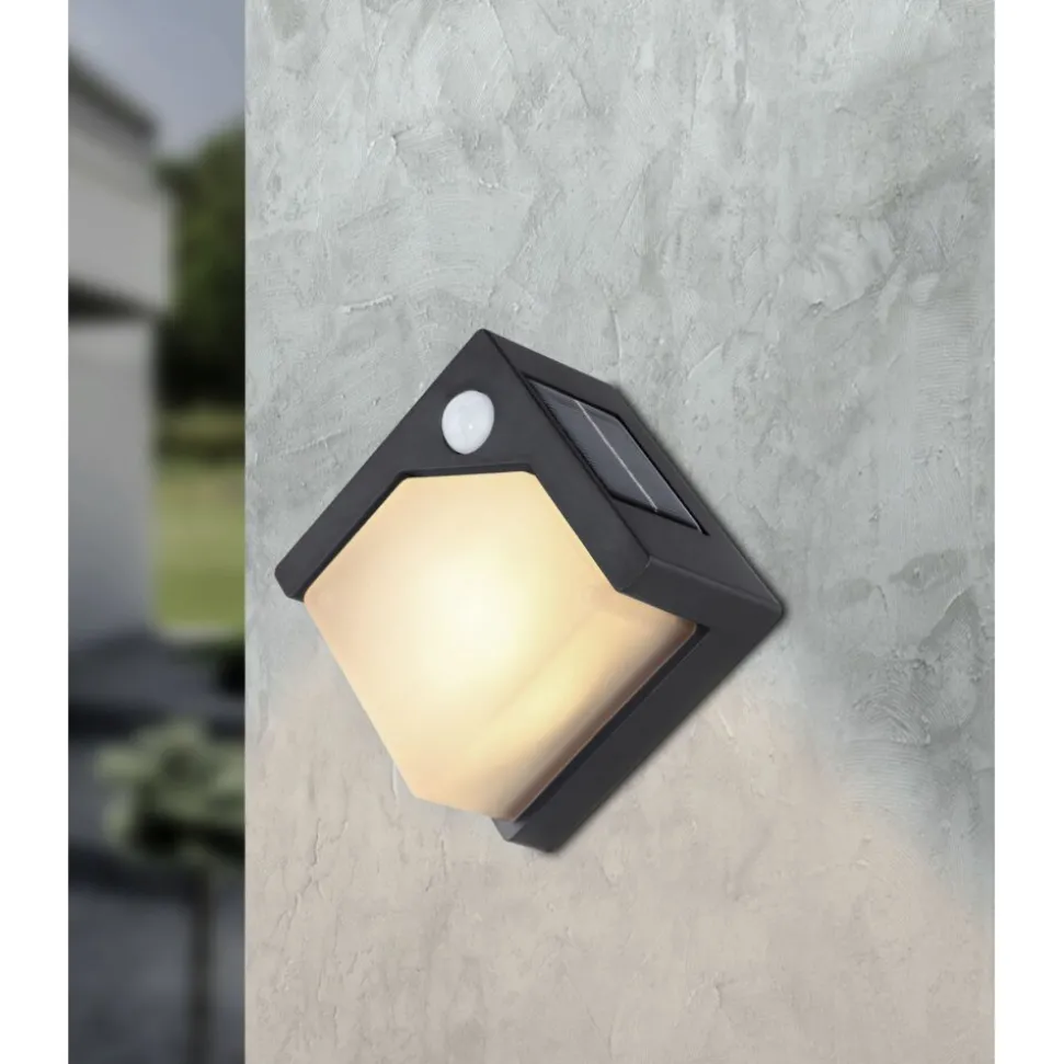 Applique Murale D'Exterieur Globo Solar Led Noir, 8 Lumieres, Detecteur De Mouvement