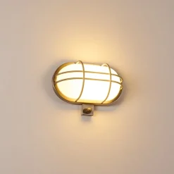 Applique Murale D'Exterieur Belmopan Acier Inoxydable, 1 Lumiere, Detecteur De Mouvement