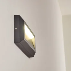 Applique Murale D'Exterieur Alkmaar Led Anthracite, 1 Lumiere