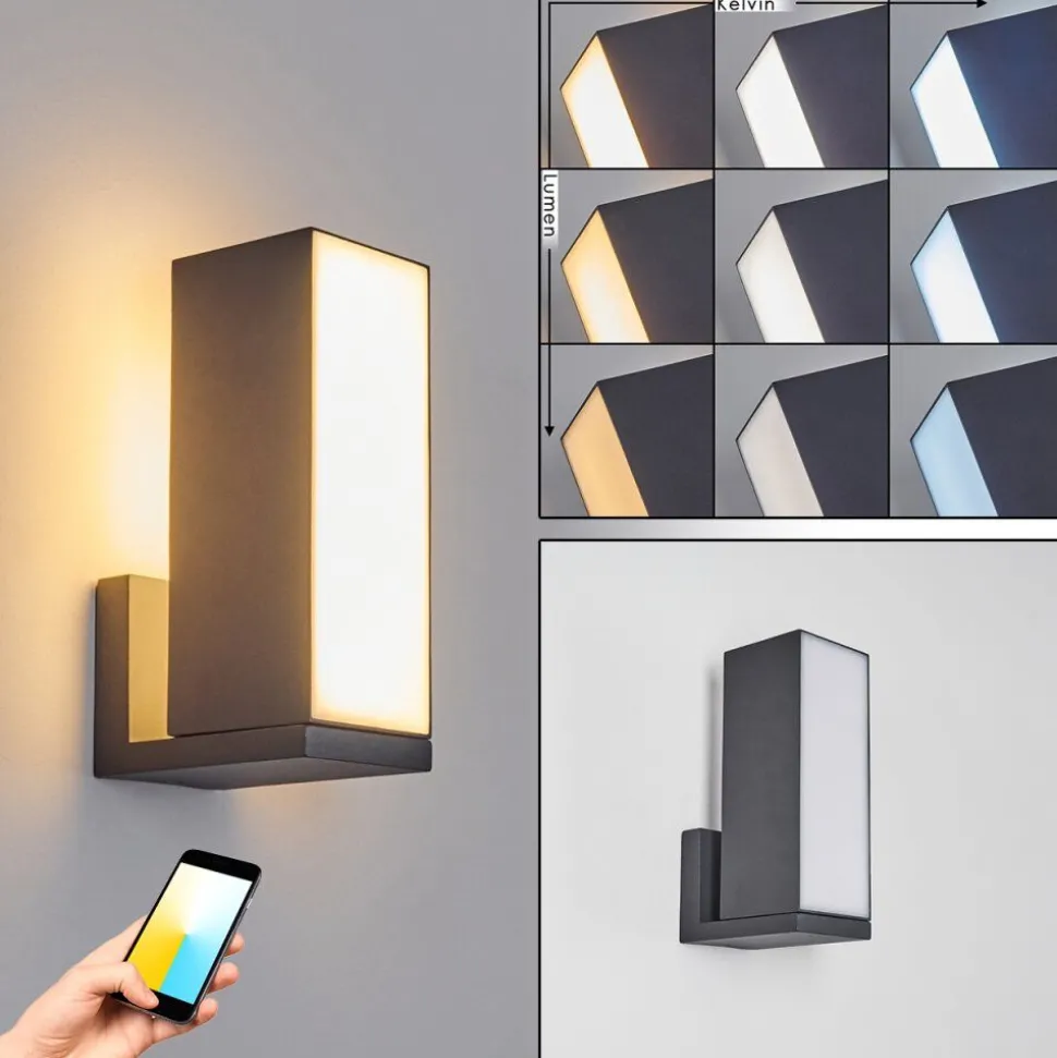 Applique Murale D'Exterieur Swanek Led Anthracite, 1 Lumiere
