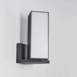Applique Murale D'Exterieur Swanek Led Anthracite, 1 Lumiere