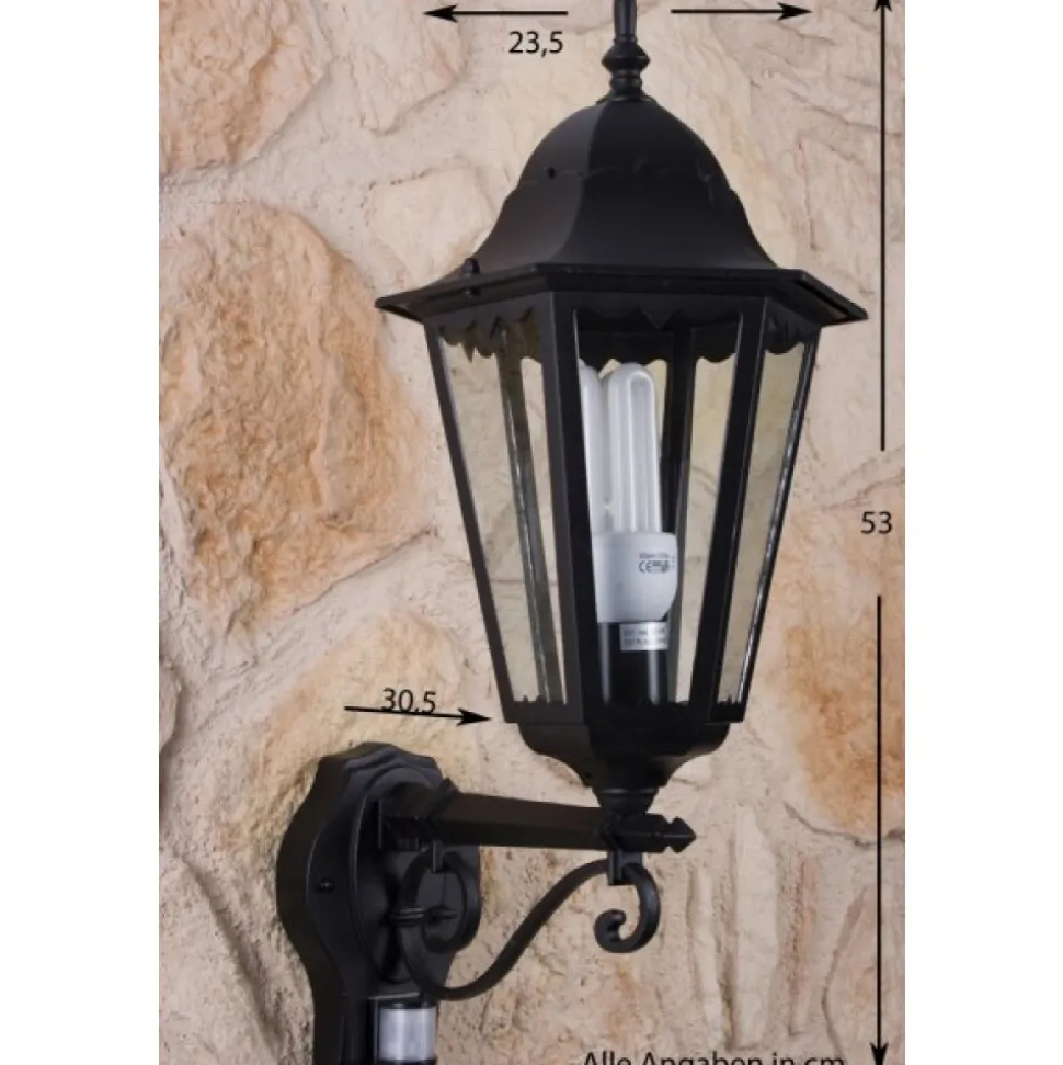 Applique Murale D'Exterieur Lutec Bristol Noir, Transparent, 1 Lumiere, Detecteur De Mouvement