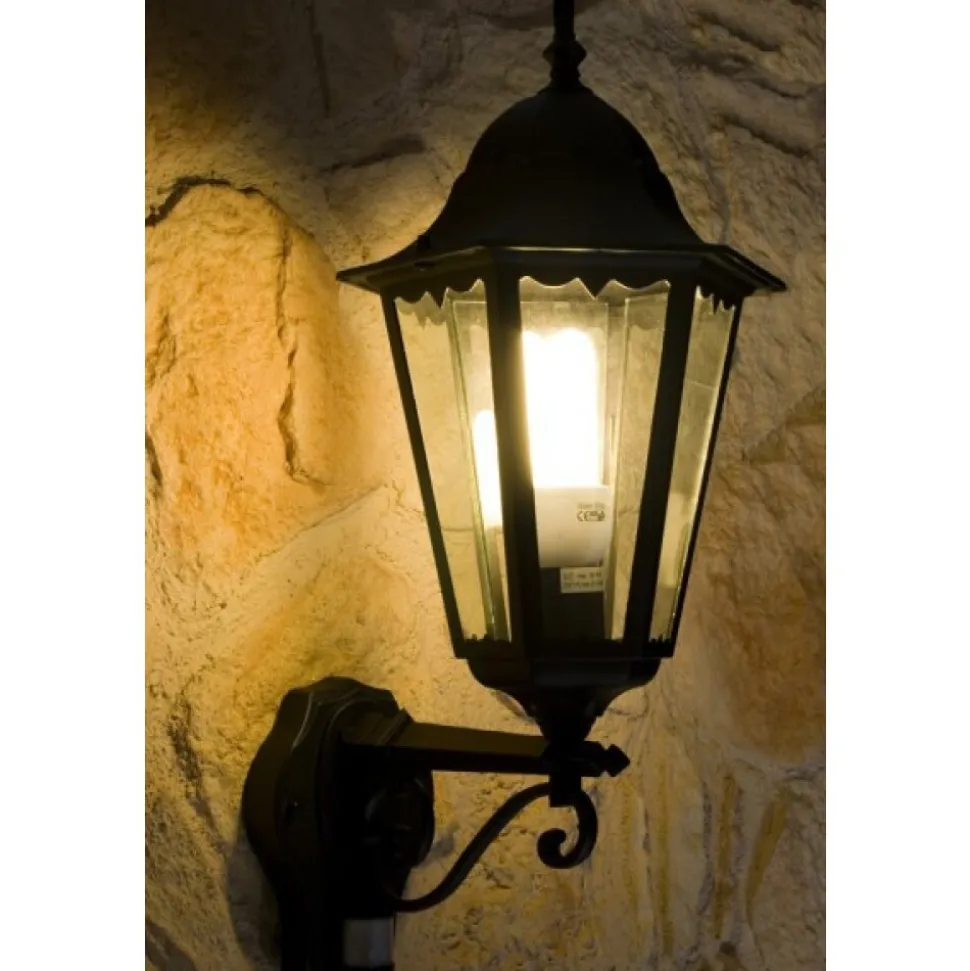 Applique Murale D'Exterieur Lutec Bristol Noir, Transparent, 1 Lumiere, Detecteur De Mouvement
