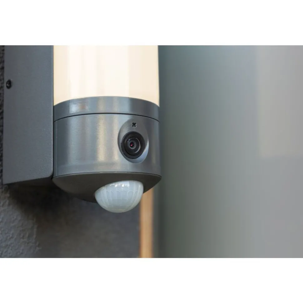 Applique Murale D'Exterieur Lutec Pollux Led Anthracite, 1 Lumiere, Detecteur De Mouvement