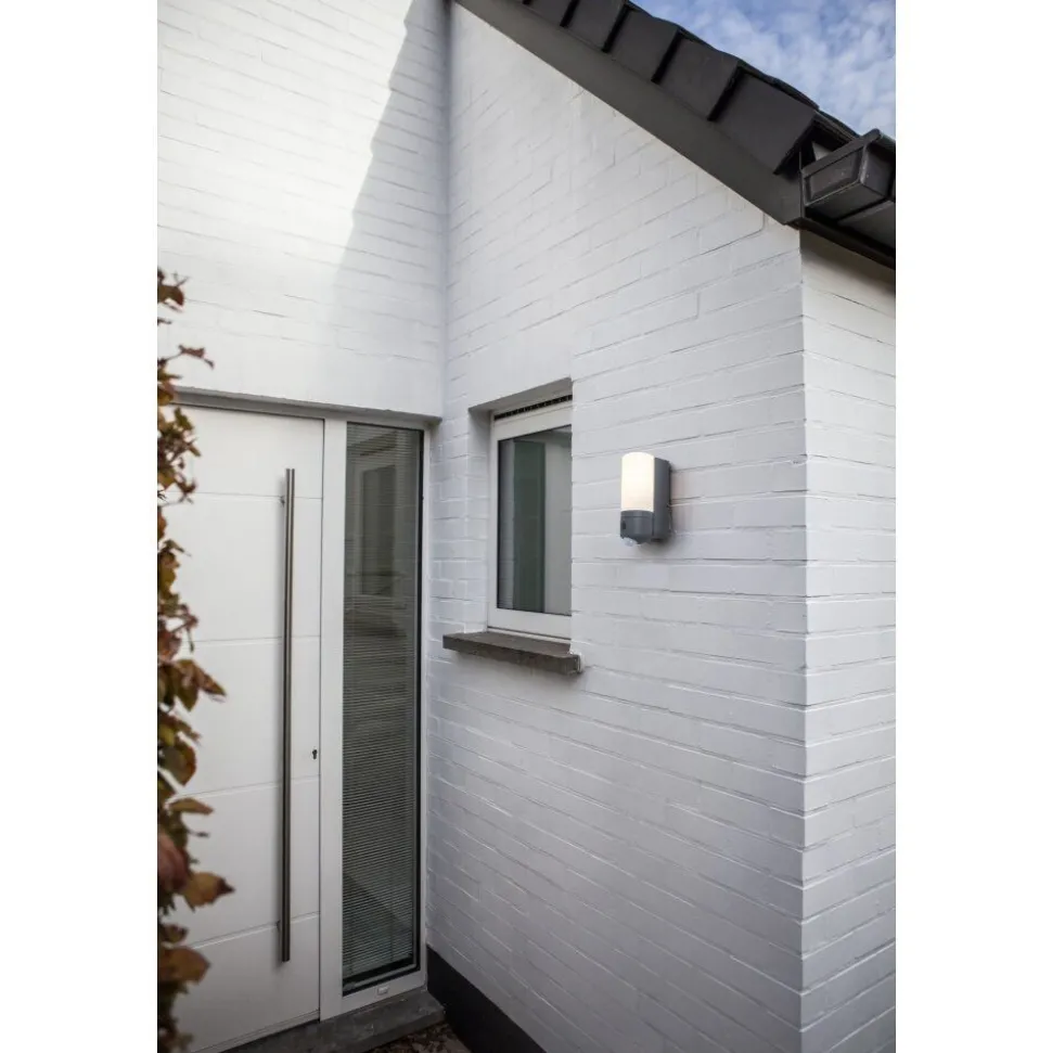 Applique Murale D'Exterieur Lutec Pollux Led Anthracite, 1 Lumiere, Detecteur De Mouvement