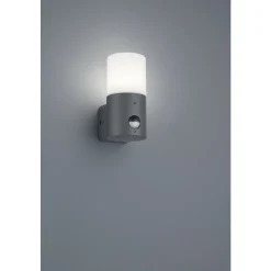 Applique Murale D'Exterieur Trio Hoosic Anthracite, 1 Lumiere, Detecteur De Mouvement