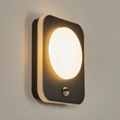 Applique Murale D'Exterieur Haga Led Noir, 1 Lumiere, Detecteur De Mouvement
