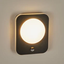 Applique Murale D'Exterieur Haga Led Noir, 1 Lumiere, Detecteur De Mouvement