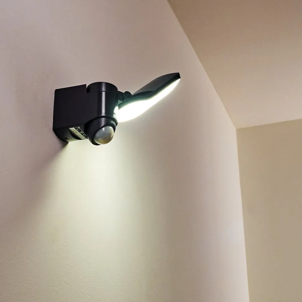 Applique Murale D'Exterieur Larvik Led Anthracite, 1 Lumiere, Detecteur De Mouvement
