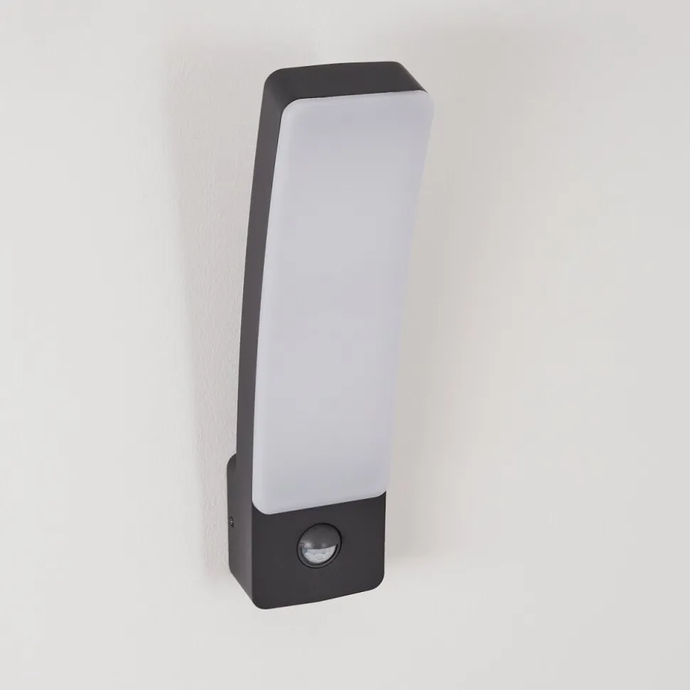 Applique Murale D'Exterieur Maseru Led Anthracite, 1 Lumiere, Detecteur De Mouvement