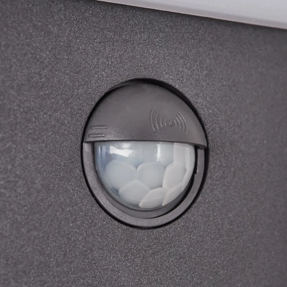 Applique Murale D'Exterieur Maseru Led Anthracite, 1 Lumiere, Detecteur De Mouvement