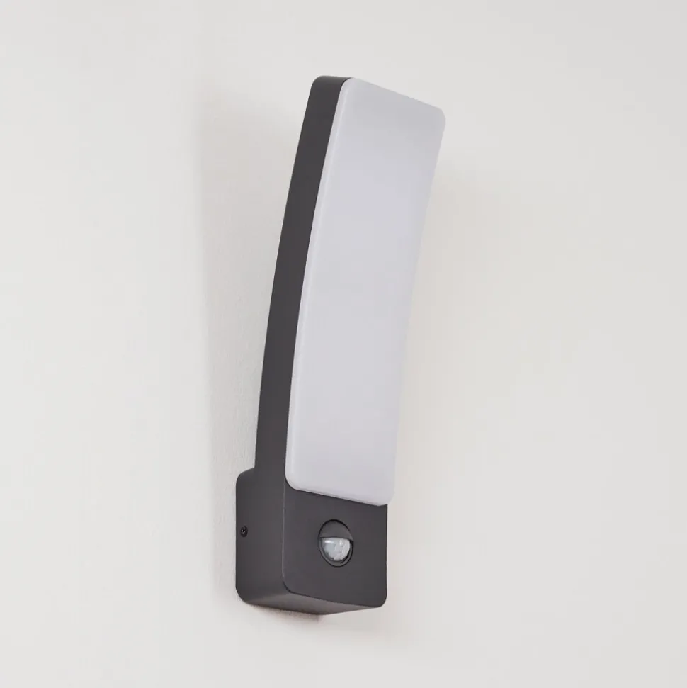 Applique Murale D'Exterieur Maseru Led Anthracite, 1 Lumiere, Detecteur De Mouvement
