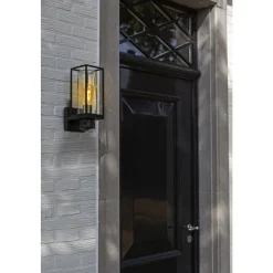 Applique Murale D'Exterieur Lutec Flair Noir, 1 Lumiere, Detecteur De Mouvement