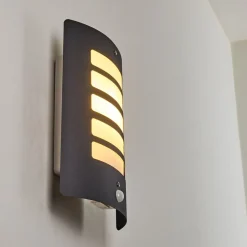 Applique Murale D'Exterieur Alslev Anthracite, 1 Lumiere, Detecteur De Mouvement
