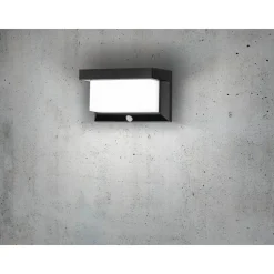 Applique Murale D'Exterieur Eglo Z_Solar Led Noir, 32 Lumieres, Detecteur De Mouvement