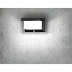 Applique Murale D'Exterieur Eglo Z_Solar Led Noir, 32 Lumieres, Detecteur De Mouvement
