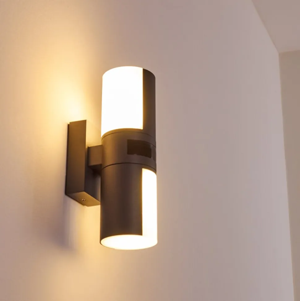 Applique Murale D'Exterieur Baulund Led Anthracite, 1 Lumiere, Detecteur De Mouvement