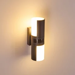 Applique Murale D'Exterieur Baulund Led Anthracite, 1 Lumiere, Detecteur De Mouvement