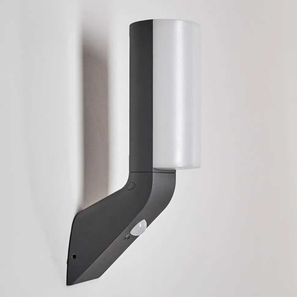 Applique Murale D'Exterieur Porus Led Anthracite, 1 Lumiere, Detecteur De Mouvement