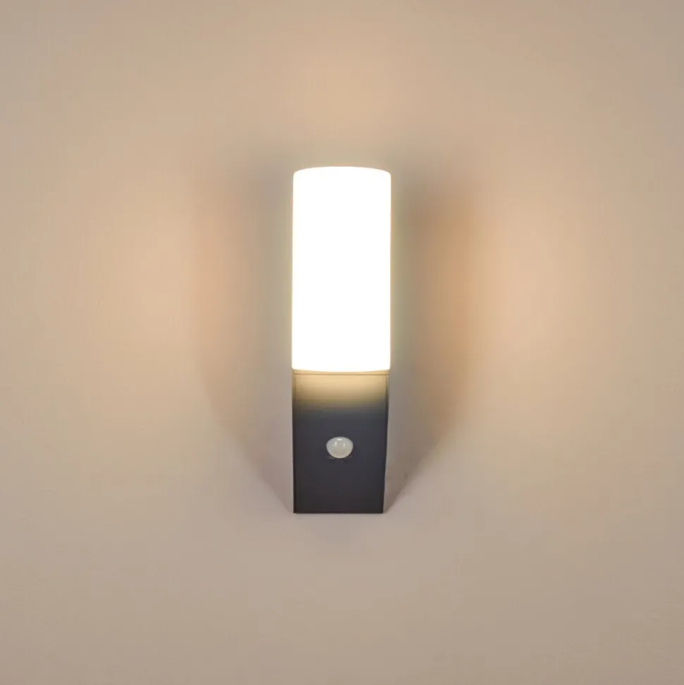 Applique Murale D'Exterieur Porus Led Anthracite, 1 Lumiere, Detecteur De Mouvement