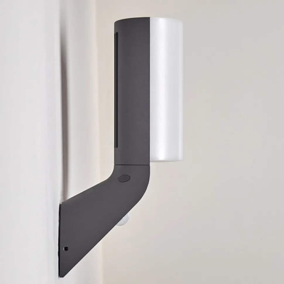 Applique Murale D'Exterieur Porus Led Anthracite, 1 Lumiere, Detecteur De Mouvement