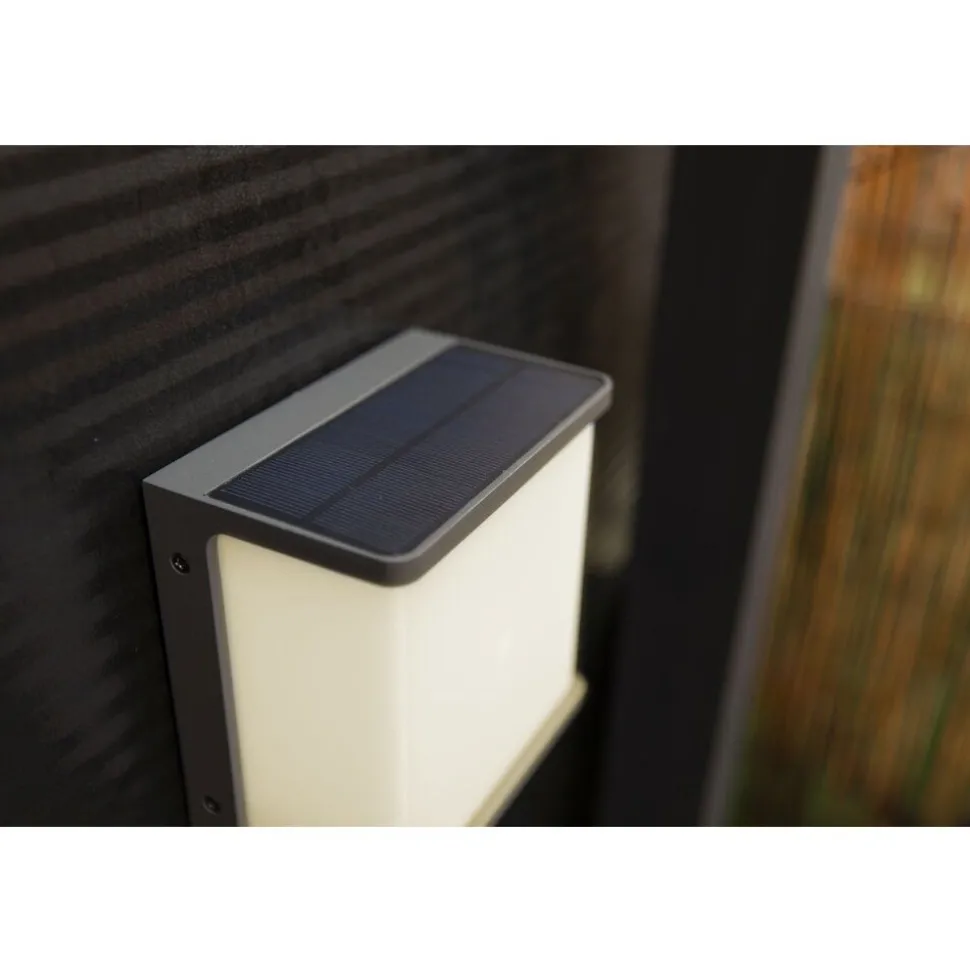 Applique Murale D'Exterieur Lutec Doblo Led Anthracite, 1 Lumiere, Detecteur De Mouvement