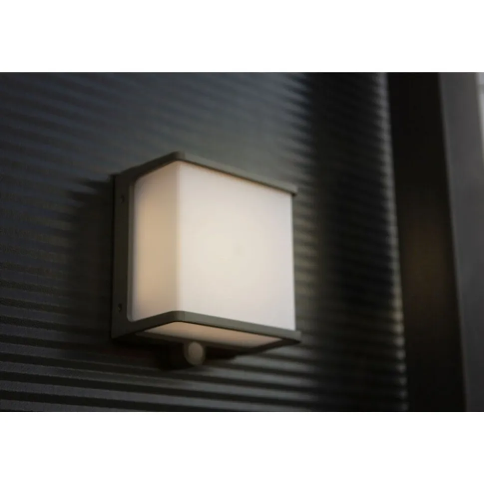Applique Murale D'Exterieur Lutec Doblo Led Anthracite, 1 Lumiere, Detecteur De Mouvement
