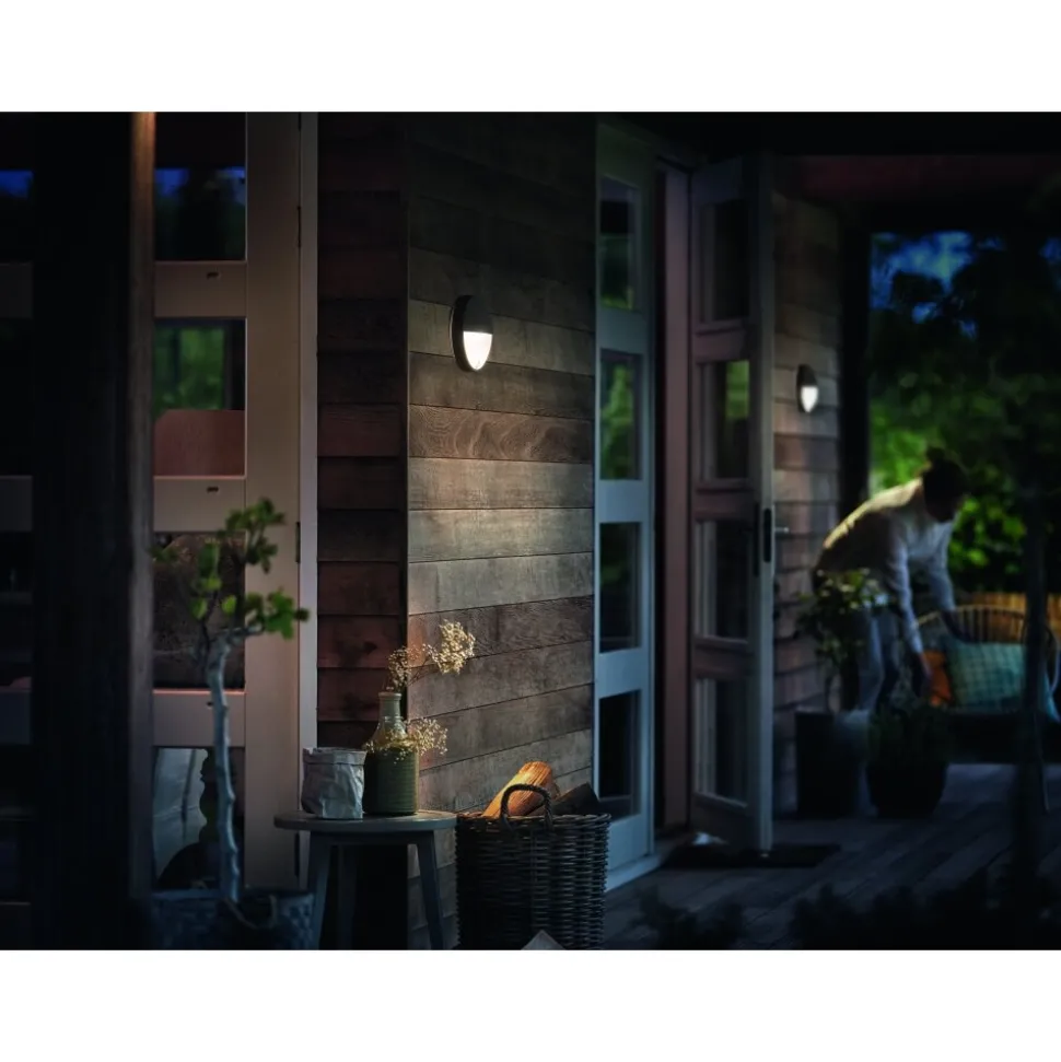 Applique Murale D'Exterieur Philips Capricorn Led Anthracite, 1 Lumiere, Detecteur De Mouvement