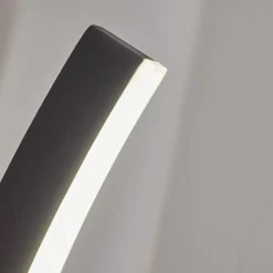 Applique Murale D'Exterieur Maseru Led Anthracite, 1 Lumiere