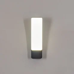 Applique Murale D'Exterieur Maseru Led Anthracite, 1 Lumiere