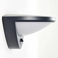 Applique Murale D'Exterieur Carano Led Noir, 1 Lumiere, Detecteur De Mouvement