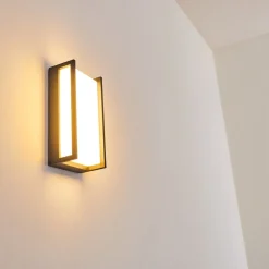 Applique Murale D'Exterieur Skove Led Anthracite, 1 Lumiere