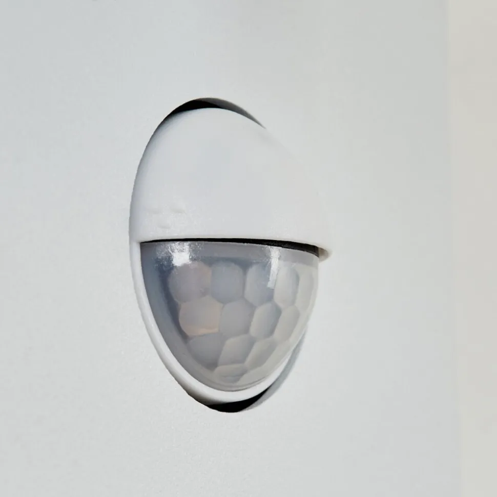 Applique Murale D'Exterieur Fulham Blanc, 1 Lumiere, Detecteur De Mouvement