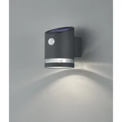 Applique Murale Reality Salta Led Anthracite, 1 Lumiere, Detecteur De Mouvement