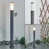 Borne Lumineuse Caserta Anthracite, 1 Lumiere, Detecteur De Mouvement